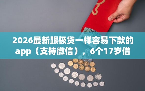 2026最新跟极贷一样容易下款的app（支持微信），6个17岁借钱平台无私分享