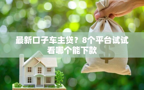 最新口子车主贷？8个平台试试看哪个能下款