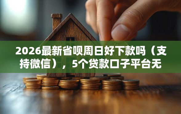 2026最新省呗周日好下款吗（支持微信），5个贷款口子平台无私分享