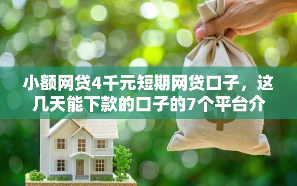 小额网贷4千元短期网贷口子,这几天能下款的口子的7个平台介绍 小额网贷4千元短期网贷口子,这几天能下款的口子的7个平台介绍