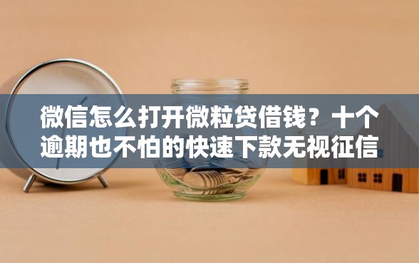 微信怎么打开微粒贷借钱?十个逾期也不怕的快速下款无视征信的口子 微信怎么打开微粒贷借钱?十个逾期也不怕的快速下款无视征信的口子