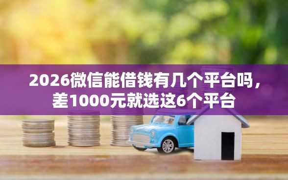 2026微信能借钱有几个平台吗，差1000元就选这6个平台