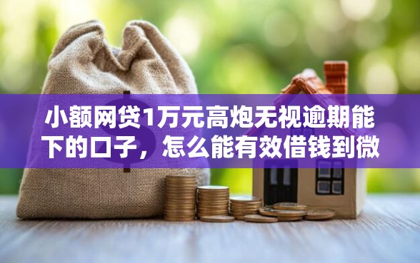 小额网贷1万元高炮无视逾期能下的口子，怎么能有效借钱到微信的5个平台介绍