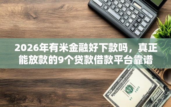 2026年有米金融好下款吗，真正能放款的9个贷款借款平台靠谱推荐
