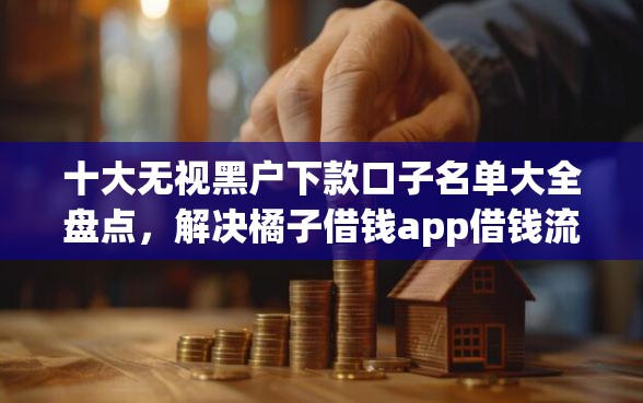 十大无视黑户下款口子名单大全盘点，解决橘子借钱app借钱流程的问题