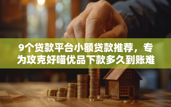 9个贷款平台小额贷款推荐,专为攻克好喵优品下款多久到账难题 9个贷款平台小额贷款推荐,专为攻克好喵优品下款多久到账难题