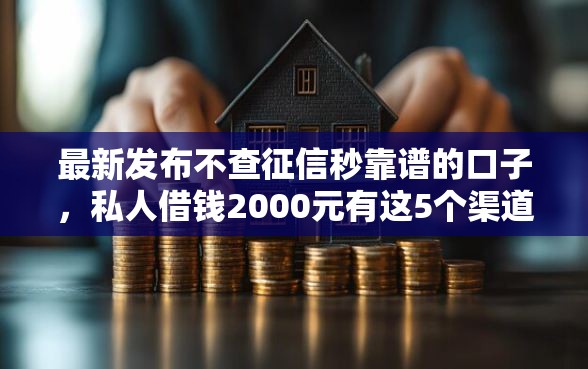 最新发布不查征信秒靠谱的口子，私人借钱2000元有这5个渠道