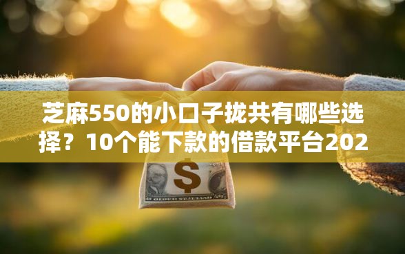 芝麻550的小口子拢共有哪些选择？10个能下款的借款平台2025详解