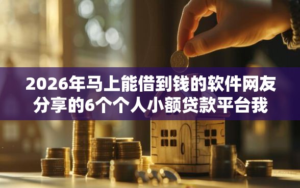2026年马上能借到钱的软件网友分享的6个个人小额贷款平台我觉得不错！