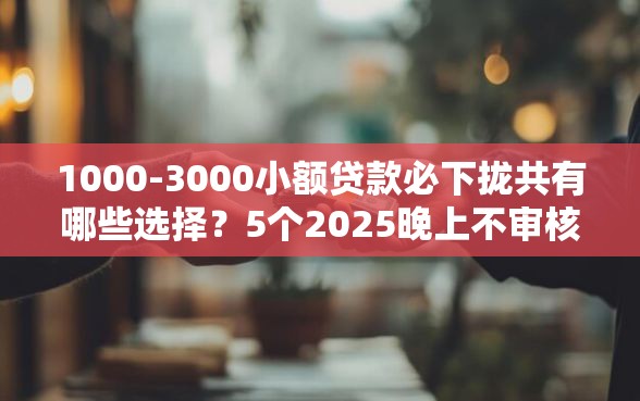 1000-3000小额贷款必下拢共有哪些选择？5个2025晚上不审核直接放款口子详解