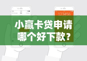 小赢卡贷申请哪个好下款？7个平台试试看哪个能下款