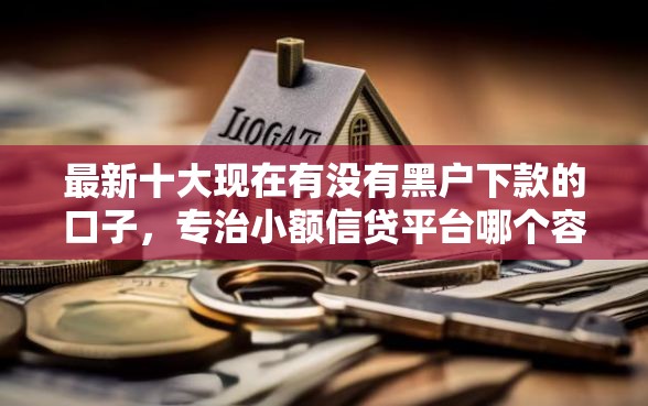 最新十大现在有没有黑户下款的口子，专治小额信贷平台哪个容易借又安全