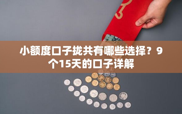 小额度口子拢共有哪些选择？9个15天的口子详解