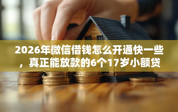 2026年微信借钱怎么开通快一些，真正能放款的6个17岁小额贷款平台推荐