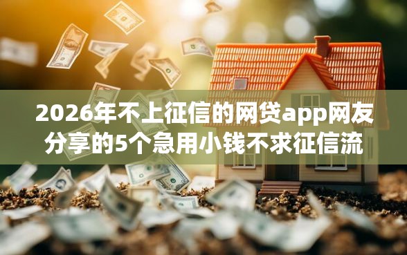 2026年不上征信的网贷app网友分享的5个急用小钱不求征信流水轻松贷的口子我觉得不错！