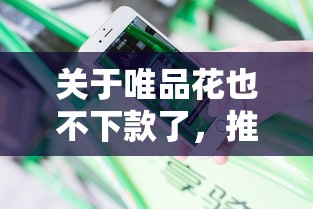 关于唯品花也不下款了，推荐6个逾期太多能下款平台给你