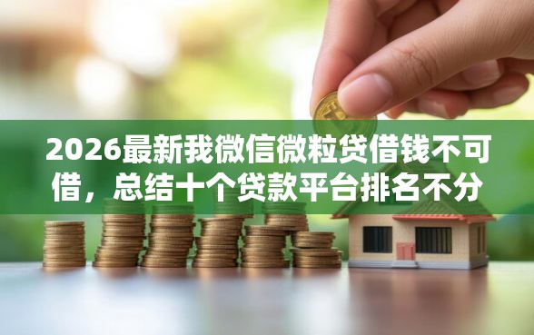 2026最新我微信微粒贷借钱不可借，总结十个贷款平台排名不分先后！