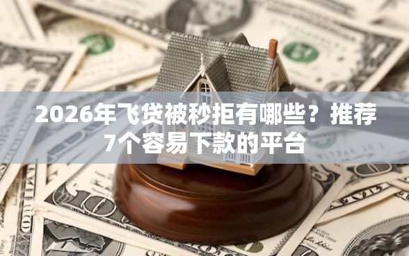 2026年飞贷被秒拒有哪些？推荐7个容易下款的平台