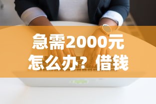 急需2000元怎么办？借钱花软件可靠吗试试这7个无门槛平台