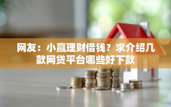 网友：小赢理财借钱？求介绍几款网贷平台哪些好下款
