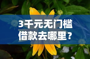 3千元无门槛借款去哪里?向日葵好下款吗看这8个平台 3千元无门槛借款去哪里?向日葵好下款吗看这8个平台