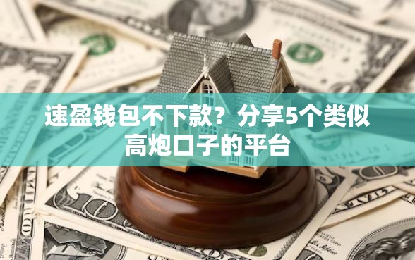 速盈钱包不下款？分享5个类似高炮口子的平台