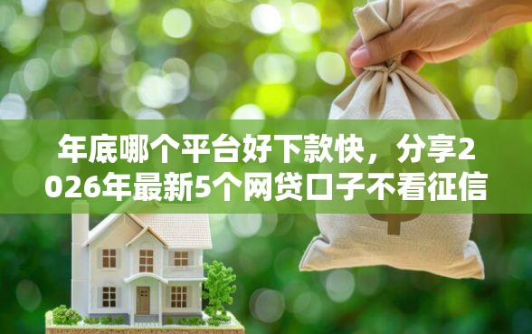 年底哪个平台好下款快，分享2026年最新5个网贷口子不看征信秒下款的平台