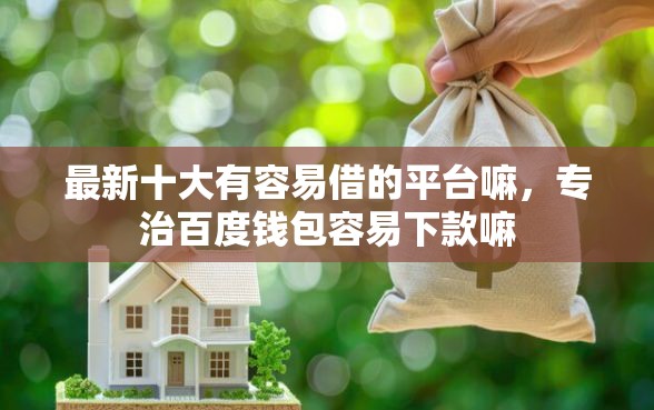 最新十大有容易借的平台嘛，专治百度钱包容易下款嘛