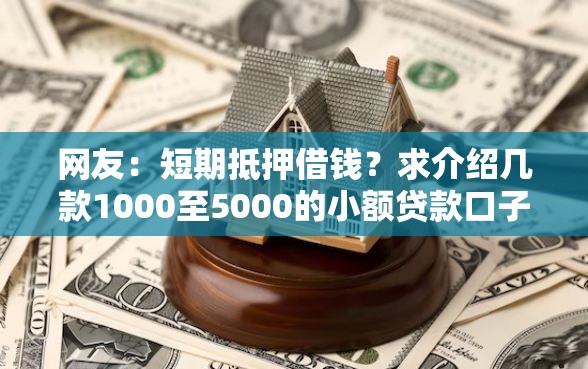 网友：短期抵押借钱？求介绍几款1000至5000的小额贷款口子