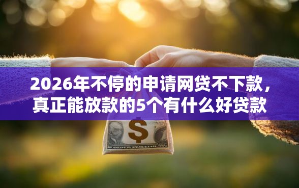 2026年不停的申请网贷不下款，真正能放款的5个有什么好贷款的平台推荐
