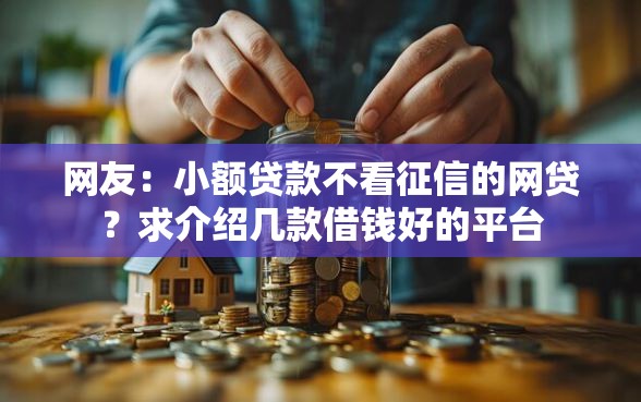 网友：小额贷款不看征信的网贷？求介绍几款借钱好的平台