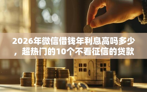 2026年微信借钱年利息高吗多少，超热门的10个不看征信的贷款平台推荐