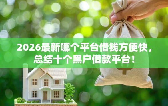 2026最新哪个平台借钱方便快,总结十个黑户借款平台! 2026最新哪个平台借钱方便快,总结十个黑户借款平台!