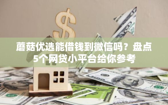蘑菇优选能借钱到微信吗?盘点5个网贷小平台给你参考 蘑菇优选能借钱到微信吗?盘点5个网贷小平台给你参考