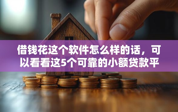 借钱花这个软件怎么样的话，可以看看这5个可靠的小额贷款平台