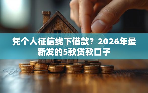 凭个人征信线下借款？2026年最新发的5款贷款口子