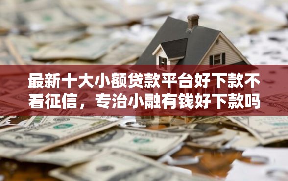 最新十大小额贷款平台好下款不看征信，专治小融有钱好下款吗
