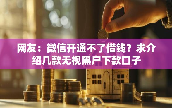 网友：微信开通不了借钱？求介绍几款无视黑户下款口子