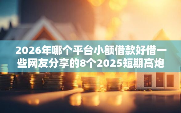 2026年哪个平台小额借款好借一些网友分享的8个2025短期高炮口子必下款我觉得不错！