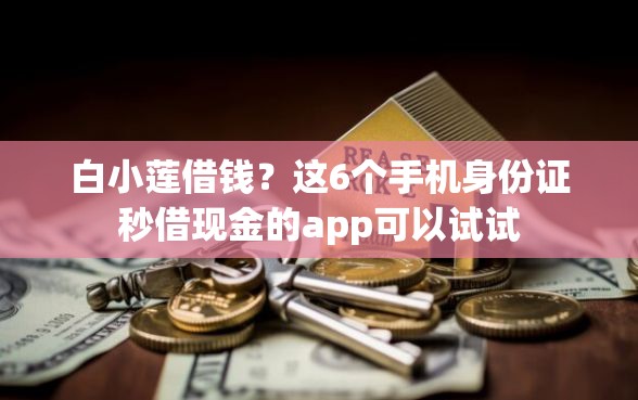 白小莲借钱?这6个手机身份证秒借现金的app可以试试 白小莲借钱?这6个手机身份证秒借现金的app可以试试