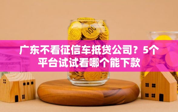 广东不看征信车抵贷公司?5个平台试试看哪个能下款 广东不看征信车抵贷公司?5个平台试试看哪个能下款