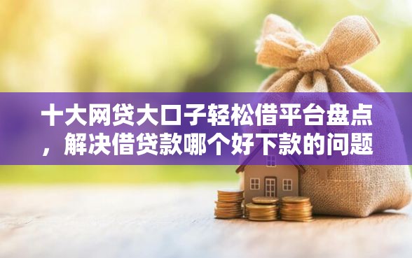 十大网贷大口子轻松借平台盘点，解决借贷款哪个好下款的问题