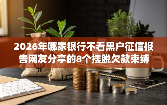 2026年哪家银行不看黑户征信报告网友分享的8个摆脱欠款束缚贷款新app我觉得不错！