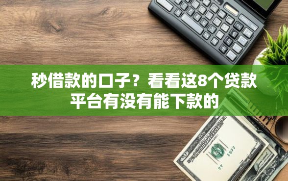 秒借款的口子？看看这8个贷款平台有没有能下款的
