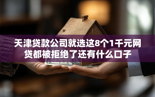 天津贷款公司就选这8个1千元网贷都被拒绝了还有什么口子