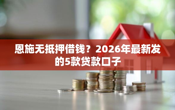 恩施无抵押借钱？2026年最新发的5款贷款口子