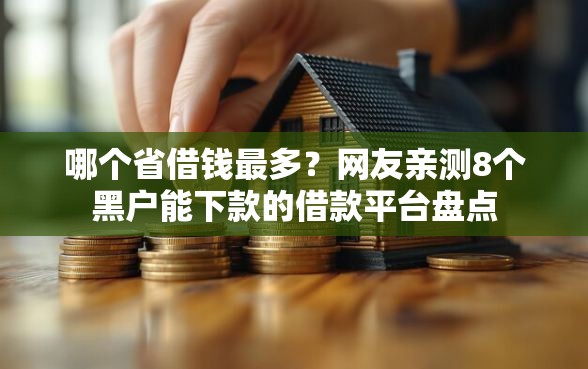 哪个省借钱最多？网友亲测8个黑户能下款的借款平台盘点