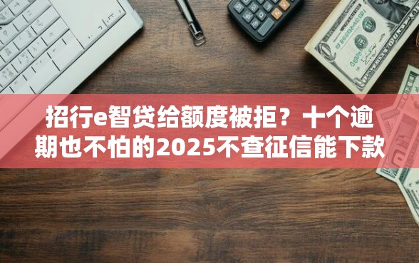 招行e智贷给额度被拒？十个逾期也不怕的2025不查征信能下款的平台