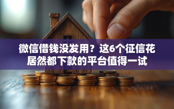 微信借钱没发用？这6个征信花居然都下款的平台值得一试