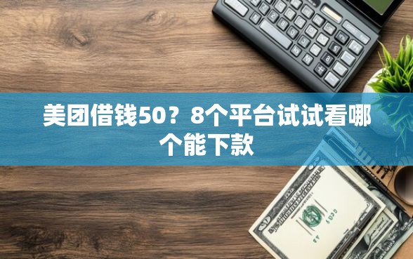 美团借钱50？8个平台试试看哪个能下款
